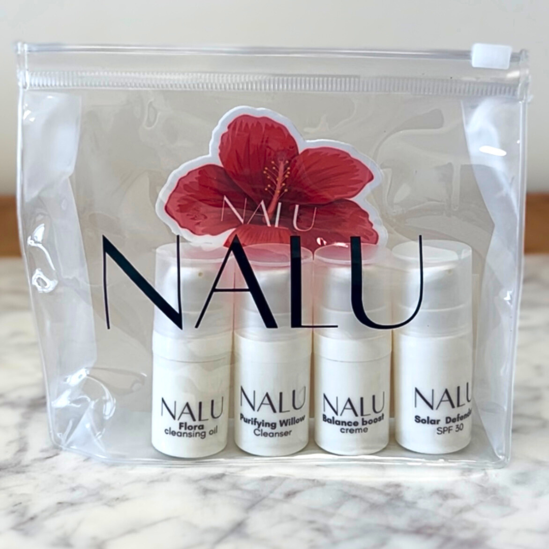 Nalu Travel Size Skin Kit